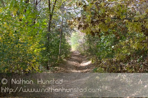 Barn_Bluff_2008-10-18_IMG_2397